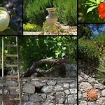 Feriehus Etna Mare - Pool In Peaceful Location With Breathtaking Views Of The Sea, Mt Etna & - Taormina